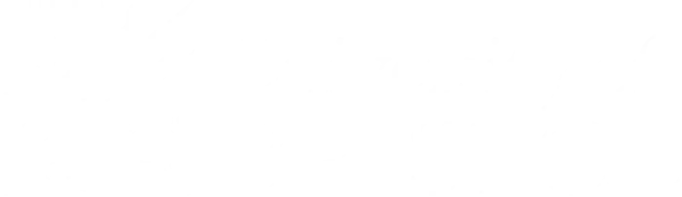 University of Bristol logo